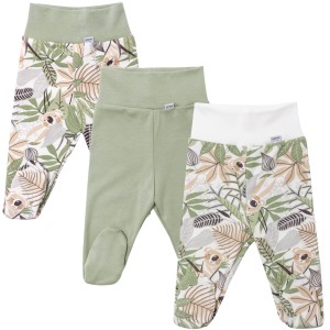 Półśpiochy 3 pack Koala Kungle