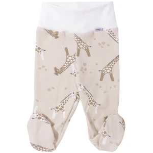 Półśpiochy Giraffe